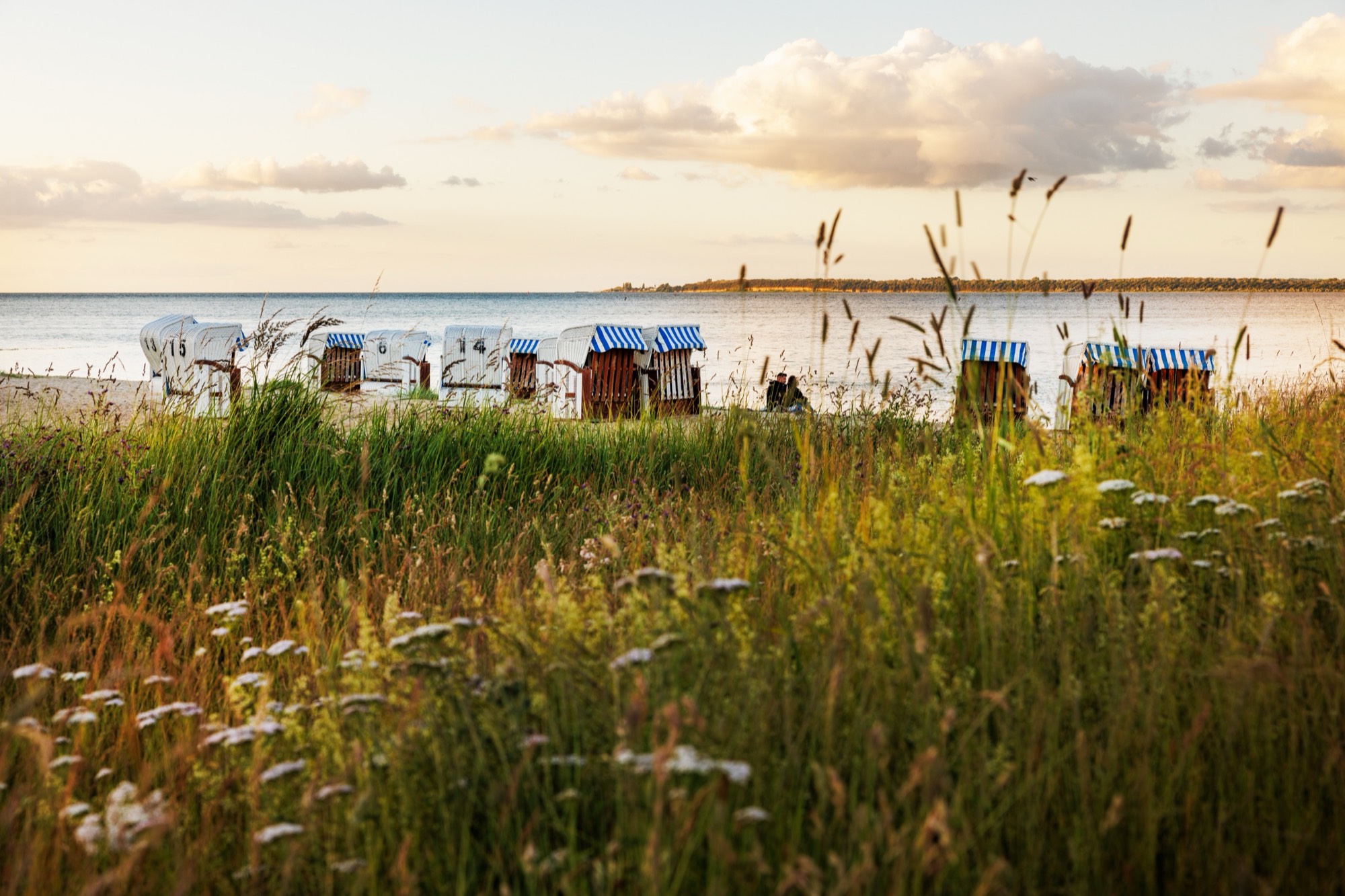 Strandkörbe am Bades-Huk-Strand im Abendlicht der Ostsee